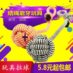 Teddy Teether Ball Bichon Border Collie Hand Drawstring Puppy