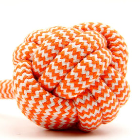 Teddy Teether Ball Bichon Border Collie Hand Drawstring Puppy