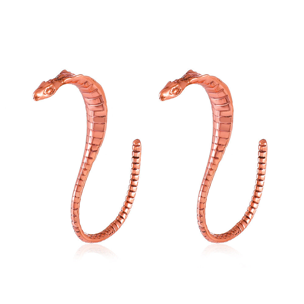 Antique Metal Snake-shaped Earrings In Europe And America